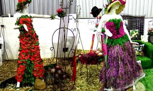 Cape Floral Kingdom Ekspo